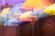 Color and Movement Inspired by Man